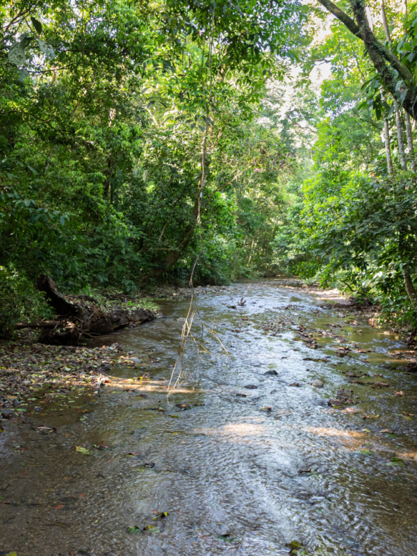 1.Carara National Park