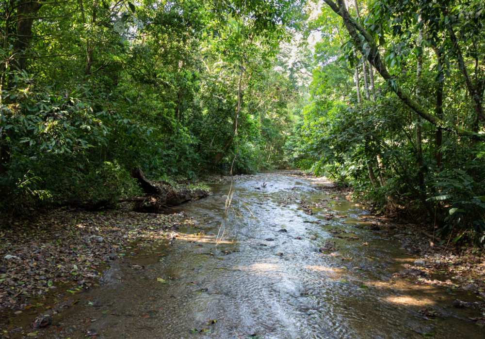 1.Carara National Park