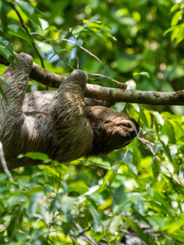 2.Manuel Antonio National Park