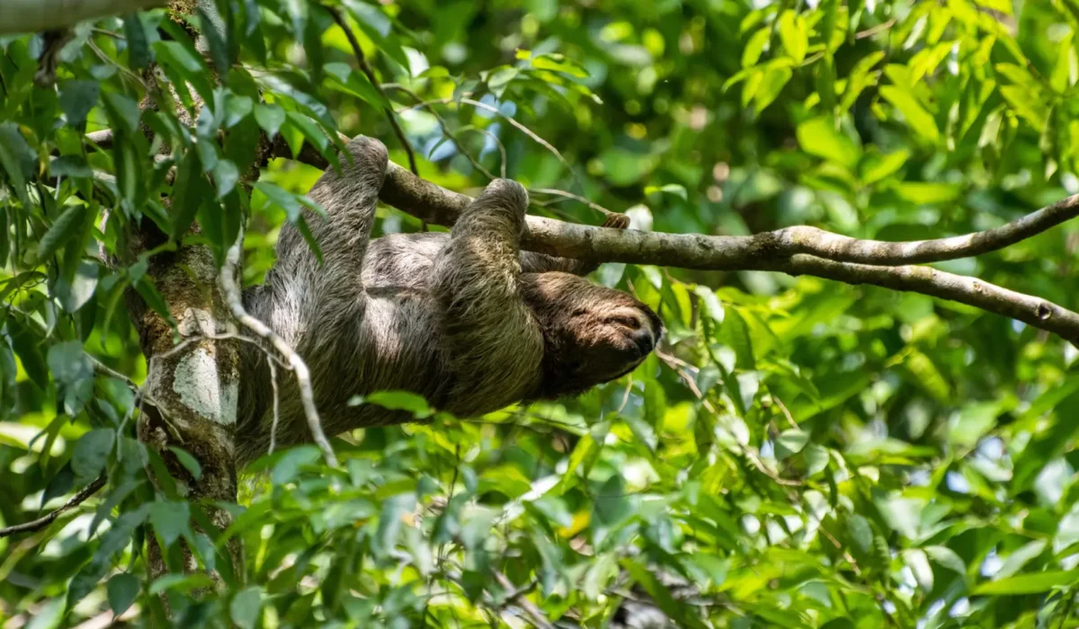 2.Manuel Antonio National Park