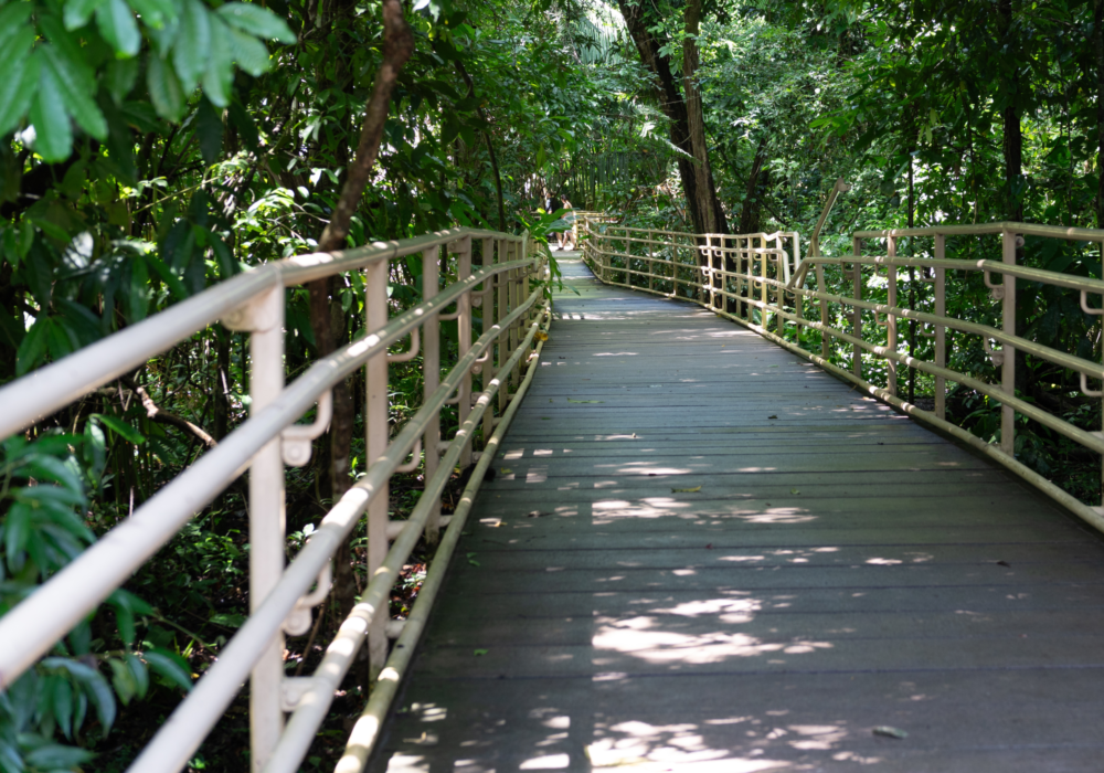 3.Manuel Antonio National Park